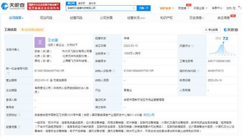 科大訊飛安徽再落兩子，千萬元級新公司聚焦AI基礎軟件研發